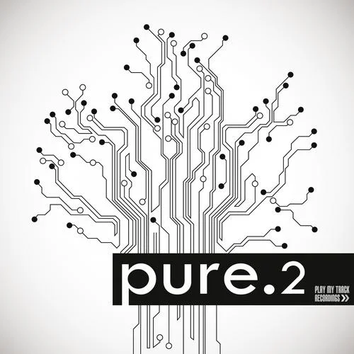 image cover: VA - Pure.2 [PTTRCOMP056]