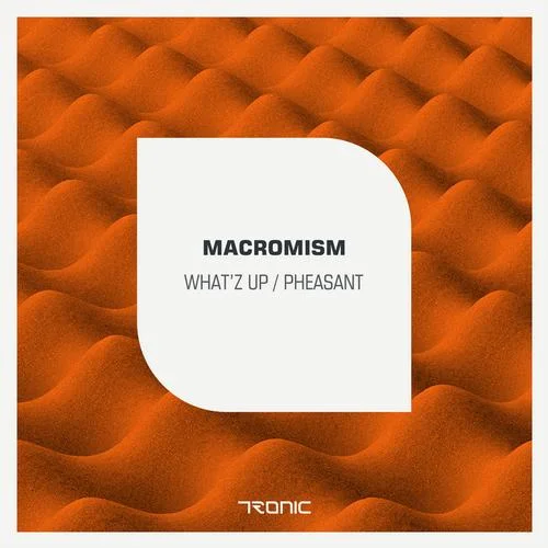 image cover: Macromism - What'Z Up / Pheasant [TR113]