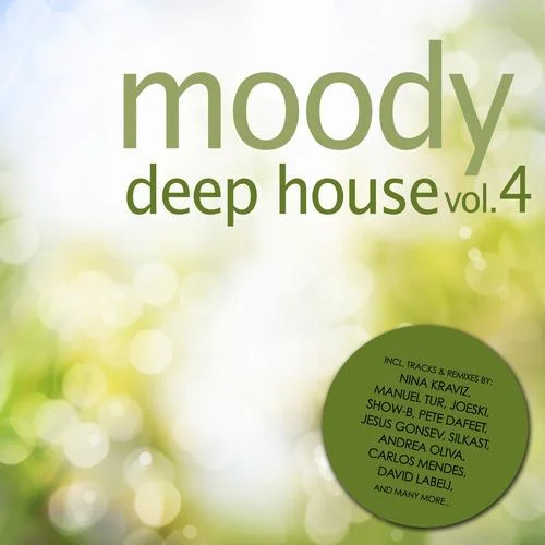 image cover: VA - Moody Deep House Vol. 4 [TNRCOMP084]