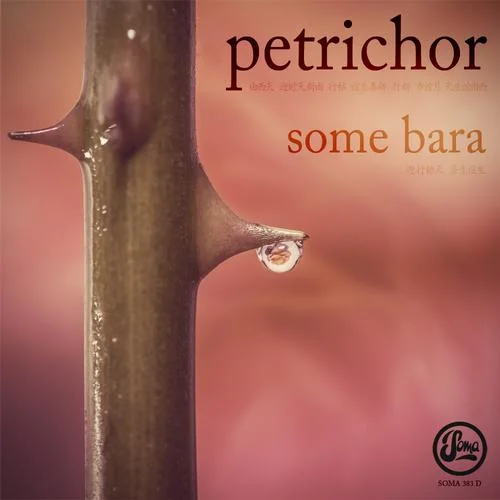 Petrichor - Some Bara