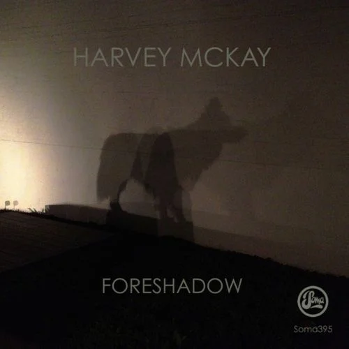 image cover: Harvey Mckay - Foreshadow