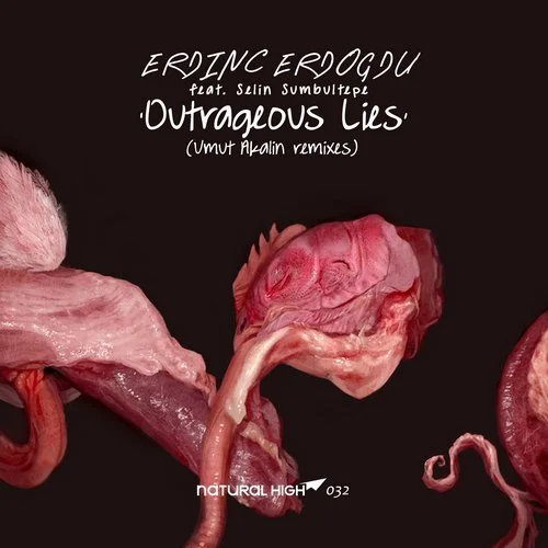 image cover: Erdinc Erdogdu Selin Sumbultepe - Outrageous Lies (Umut Akalin Remix)