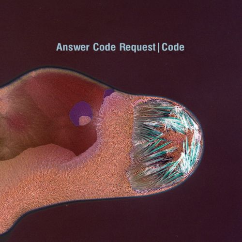 image cover: Answer Code Request - Code