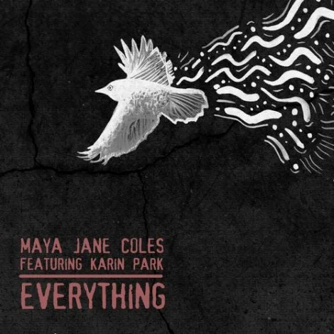 image cover: Maya Jane Coles. Karin Park - Everything [IAMME002D]