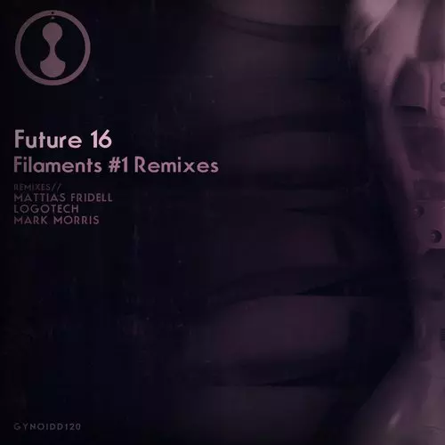 image cover: Future 16 - Filaments #1 Remixes [Gynoid]