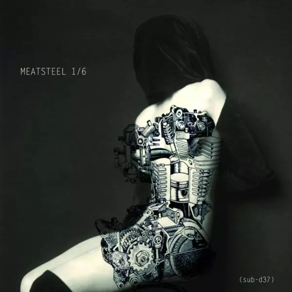 image cover: VA - Meatsteel 1-6 [sub-d38]