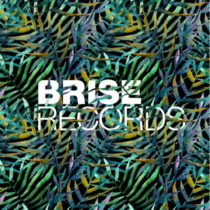 image cover: Right On - Walking Home E.P. [BRISE062]