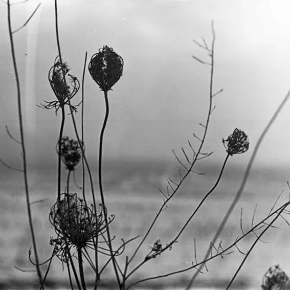 image cover: Recondite - Placid [ATLP06]