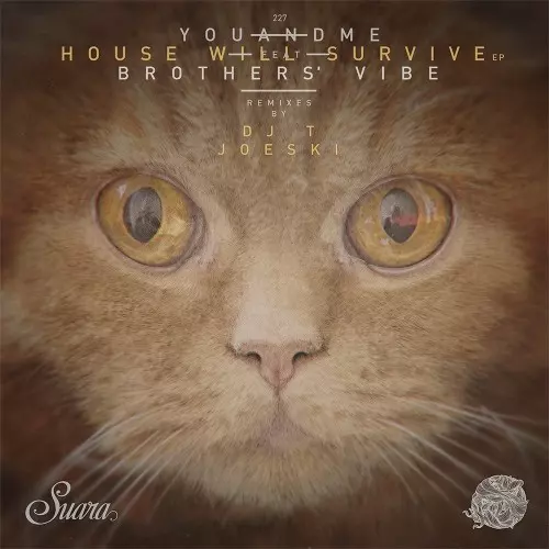 image cover: youANDme - HOUSE WILL SURVIVE CHARTS