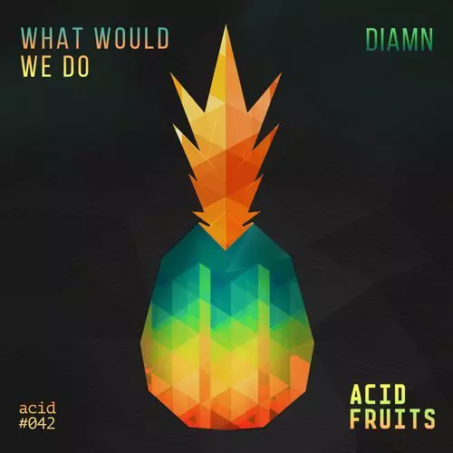 image cover: Diamn - What Would We Do / ACID042