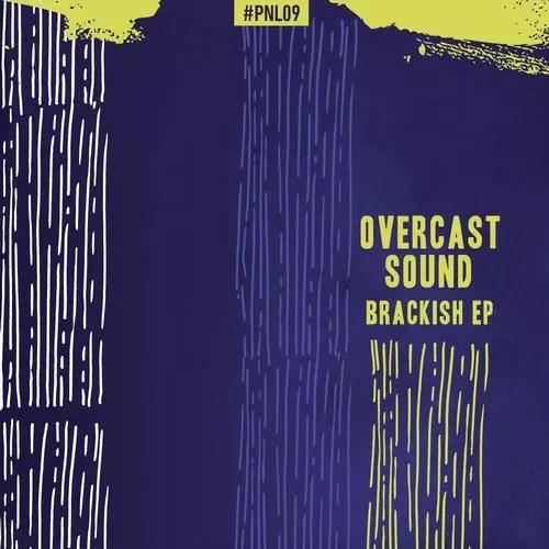 image cover: Overcast Sound - Brackish / Panal Records