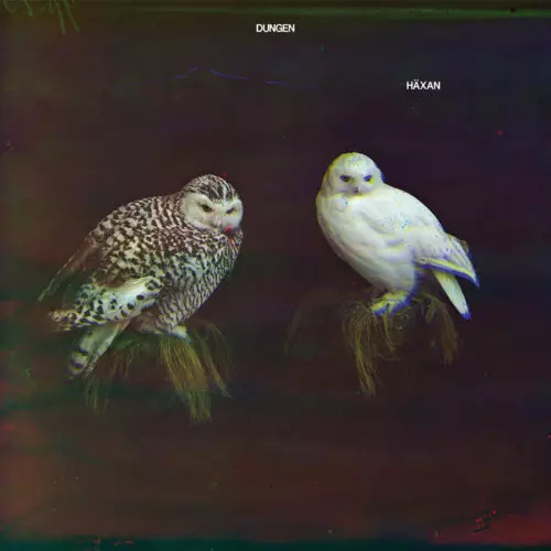 image cover: Dungen - Haxan / Smalltown Supersound