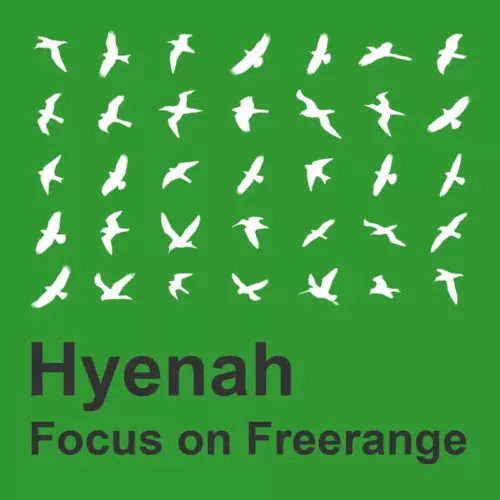 image cover: VA - Focus On Freerange: Hyenah / Freerange Records