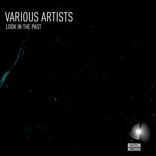 image cover: Various Artists - Look In The Past / Bosom