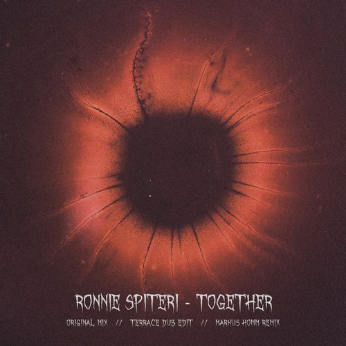 image cover: Ronnie Spiteri - Together (Markus Homm Remix) / Fall From Grace Records