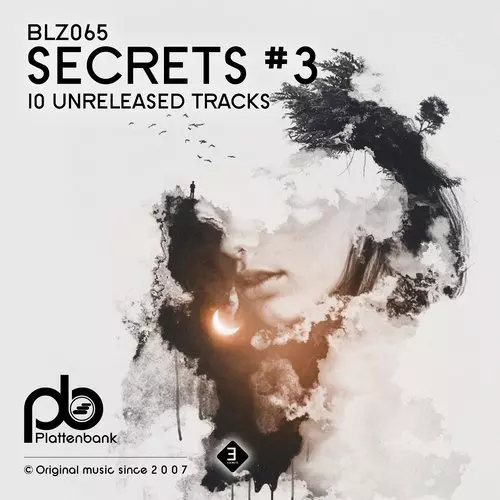 image cover: VA - Secrets # 3 / Plattenbank