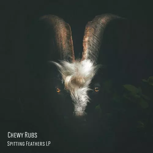 image cover: Chewy Rubs - Spitting Feathers LP / FFGR030