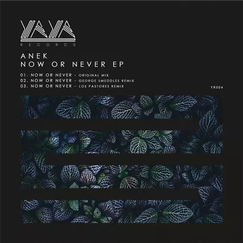 image cover: Anek - Now Or Never EP / YAYA Records