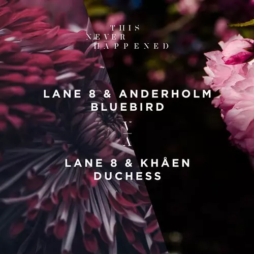 image cover: Lane 8, Anderholm, Khåen - Bluebird / Duchess / TNH009