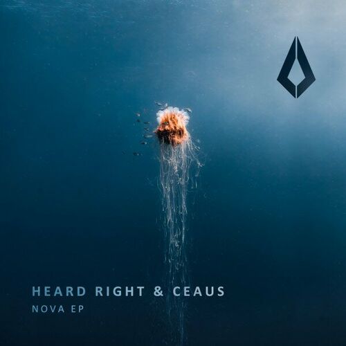 image cover: Heard Right - Nova on Purified Records