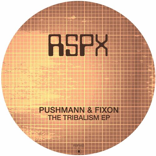 image cover: PUSHMANN - The Tribalism EP on RSPX