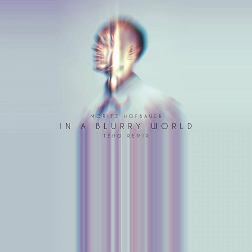 image cover: Moritz Hofbauer - In A Blurry World (Teho Remix) on Fckng Serious