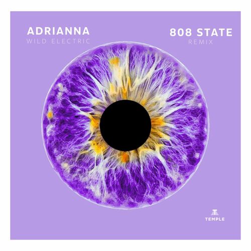 image cover: Adrianna - Wild Electric (808 State Remix) on Temple House Music