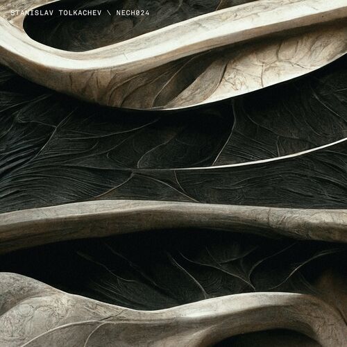 image cover: Stanislav Tolkachev - NECH024 on NECHTO Records