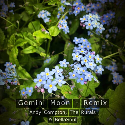 image cover: Andy Compton - Gemini Moon - Remix on Peng