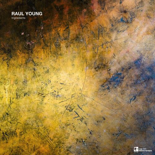 image cover: Raul Young - Ingredients EP on MB Elektronics