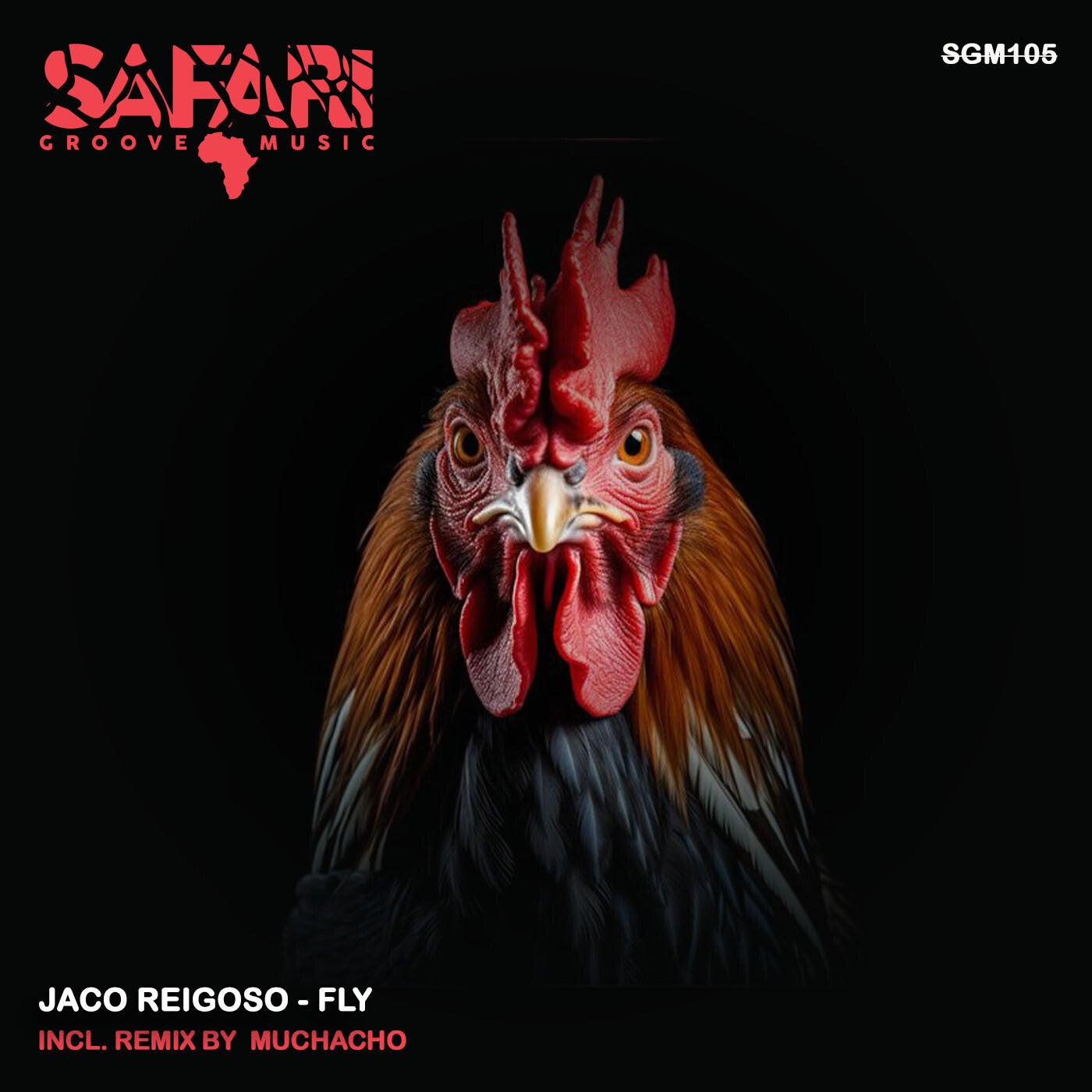 image cover: Jaco Reigosa - Fly on Safari Groove Music