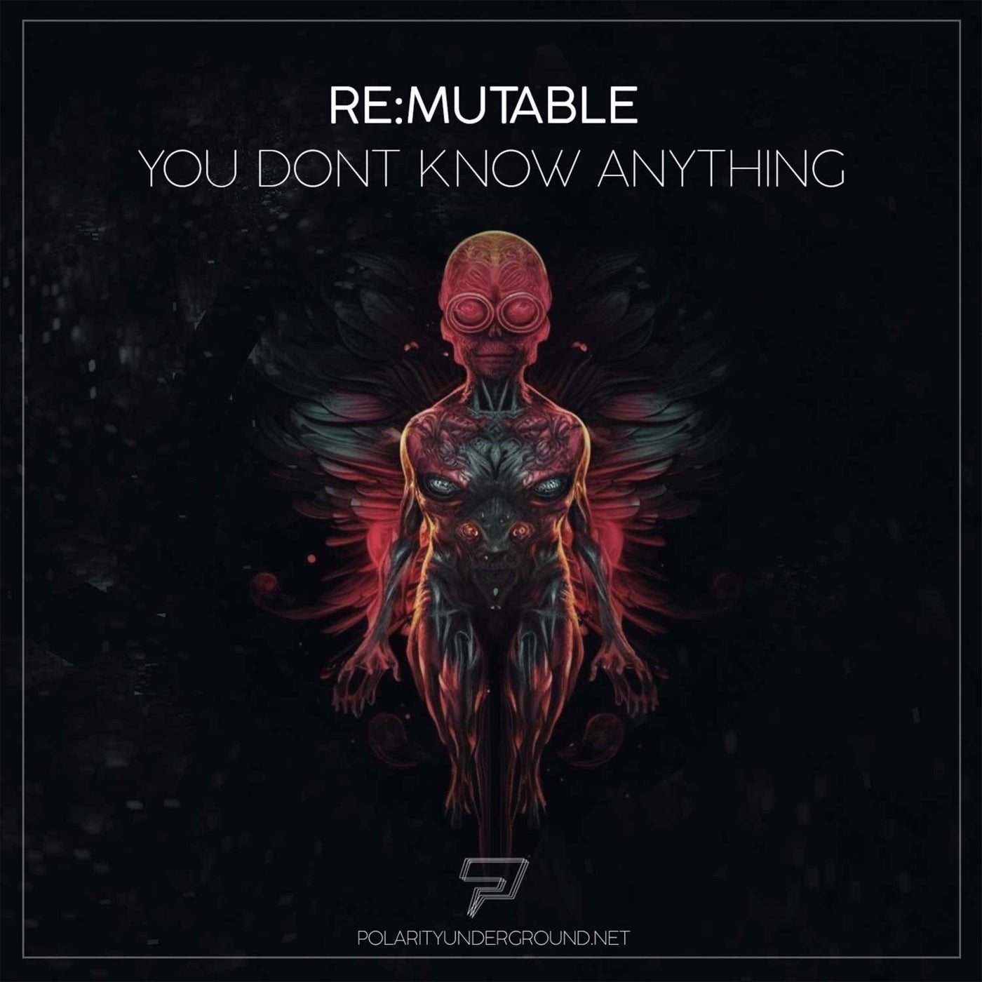 image cover: re:Mutable - You Dont Know Anything on Polarity Underground
