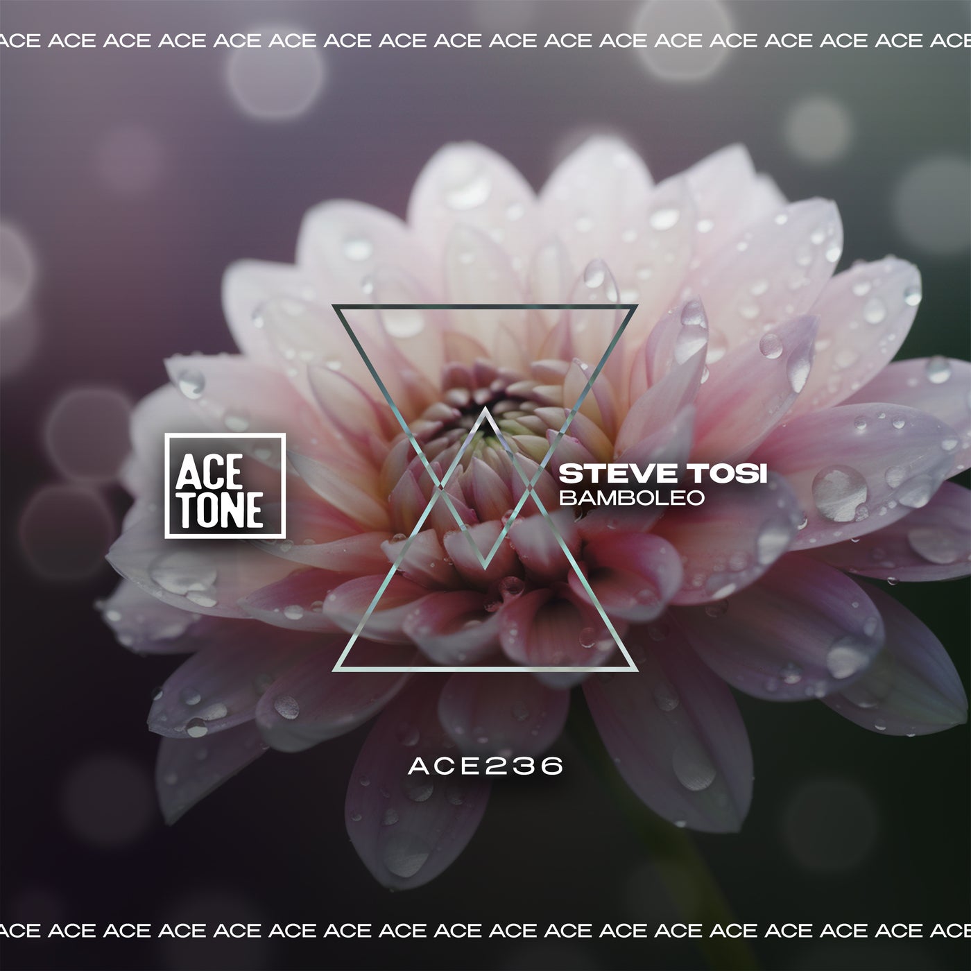 image cover: Steve Tosi - Bamboleo on Acetone
