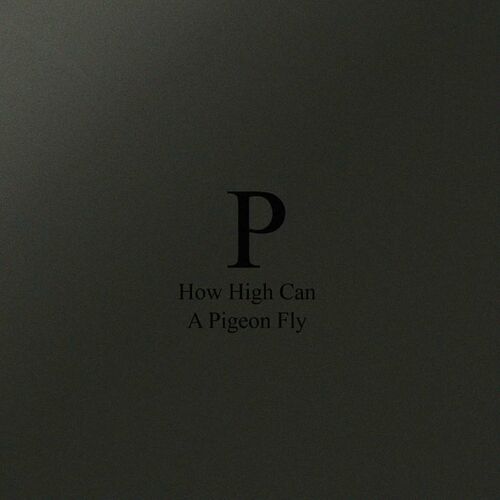 image cover: Phara - How High Can A Pigeon Fly on Phaaar