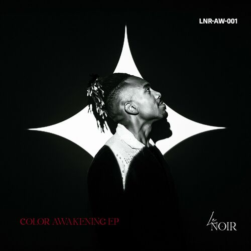 image cover: GINO LE NOIR - COLOR AWAKENING EP on LE NOIR MUSIC
