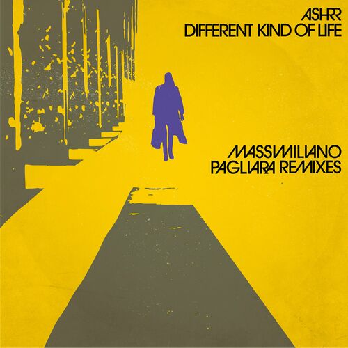 image cover: ASHRR - Different Kind Of Life (Massimiliano Pagliara Remixes) on 20/20 Vision Recordings