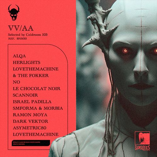 image cover: Various Artists - Vv/aa by Coldroom 103 on Banshees Records