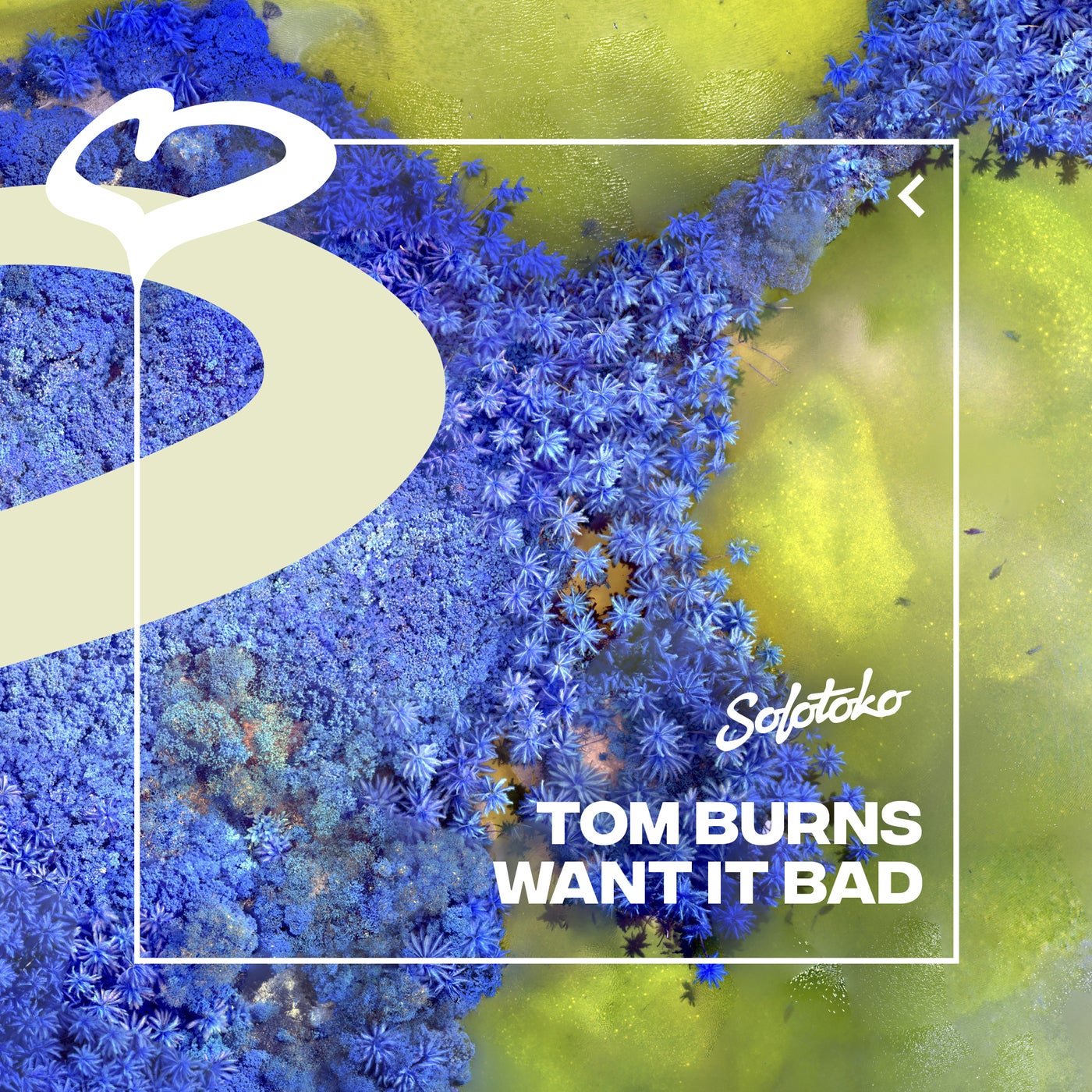 image cover: Tom Burns - Want It Bad (Extended Mix) on SOLOTOKO