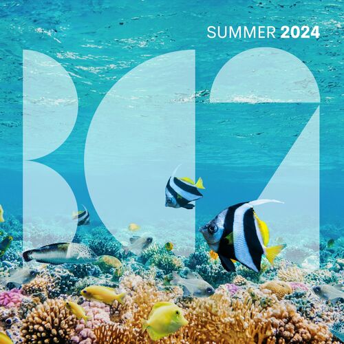 Release Cover: BC2 Summer 2024 Download Free on Electrobuzz