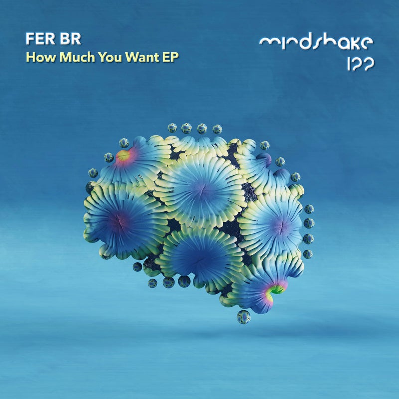 image cover: Fer BR - How Much You Want EP on Mindshake Records