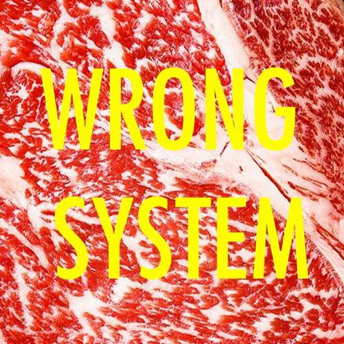 image cover: Tronik Youth - Wrong System on Nein Records