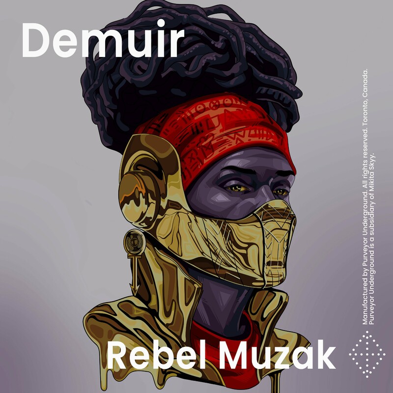 image cover: Demuir - Rebel Muzak on Purveyor Underground