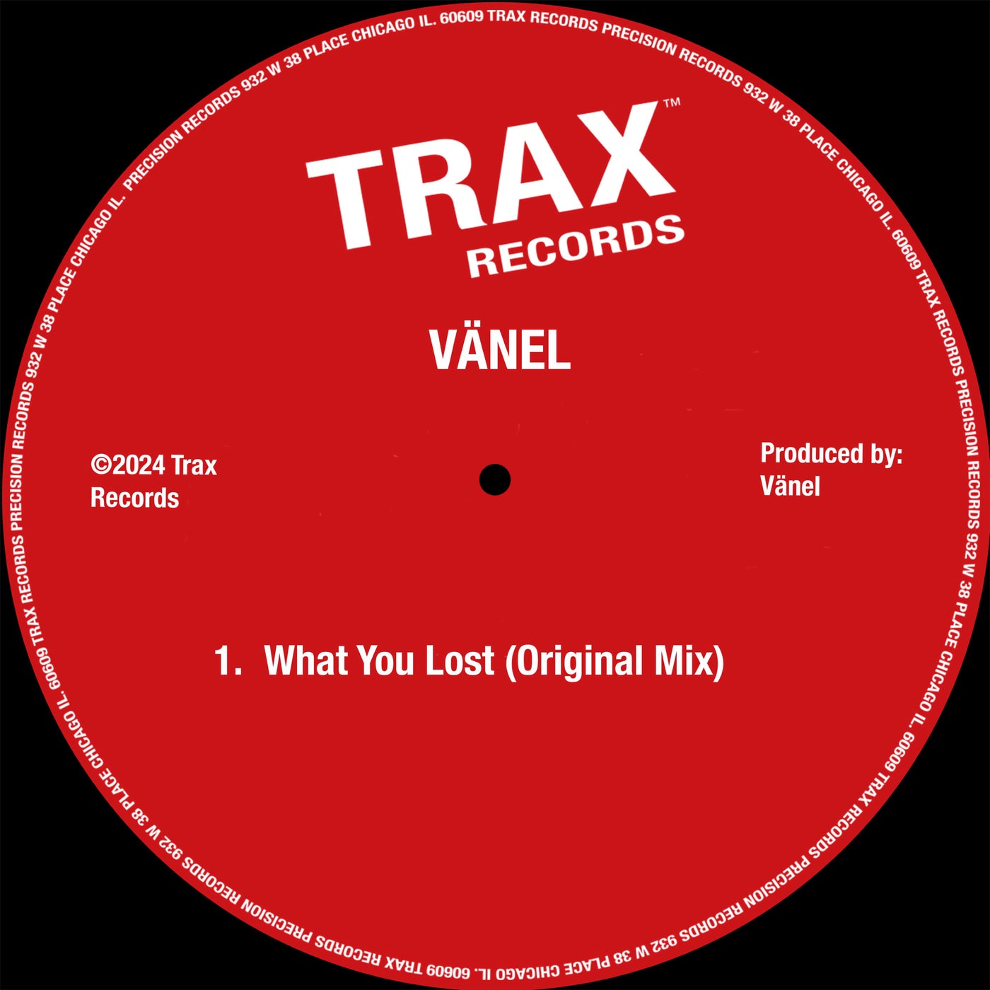 image cover: Vanel - What You Lost on Trax Records