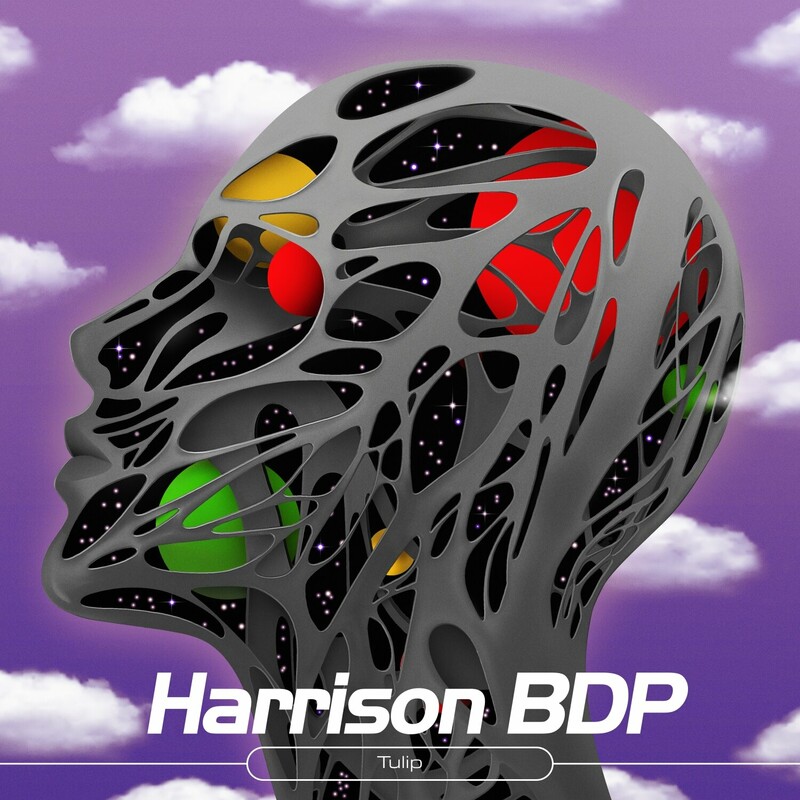 image cover: Harrison BDP - Tulip on Lost Palms
