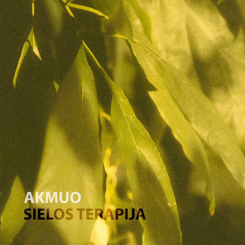 image cover: Akmuo - Sielos Terapija on Cold Tear Records