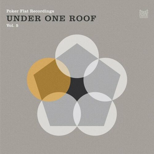 image cover: T. Nguyen - Under One Roof, Vol. 5 on Poker Flat Recordings
