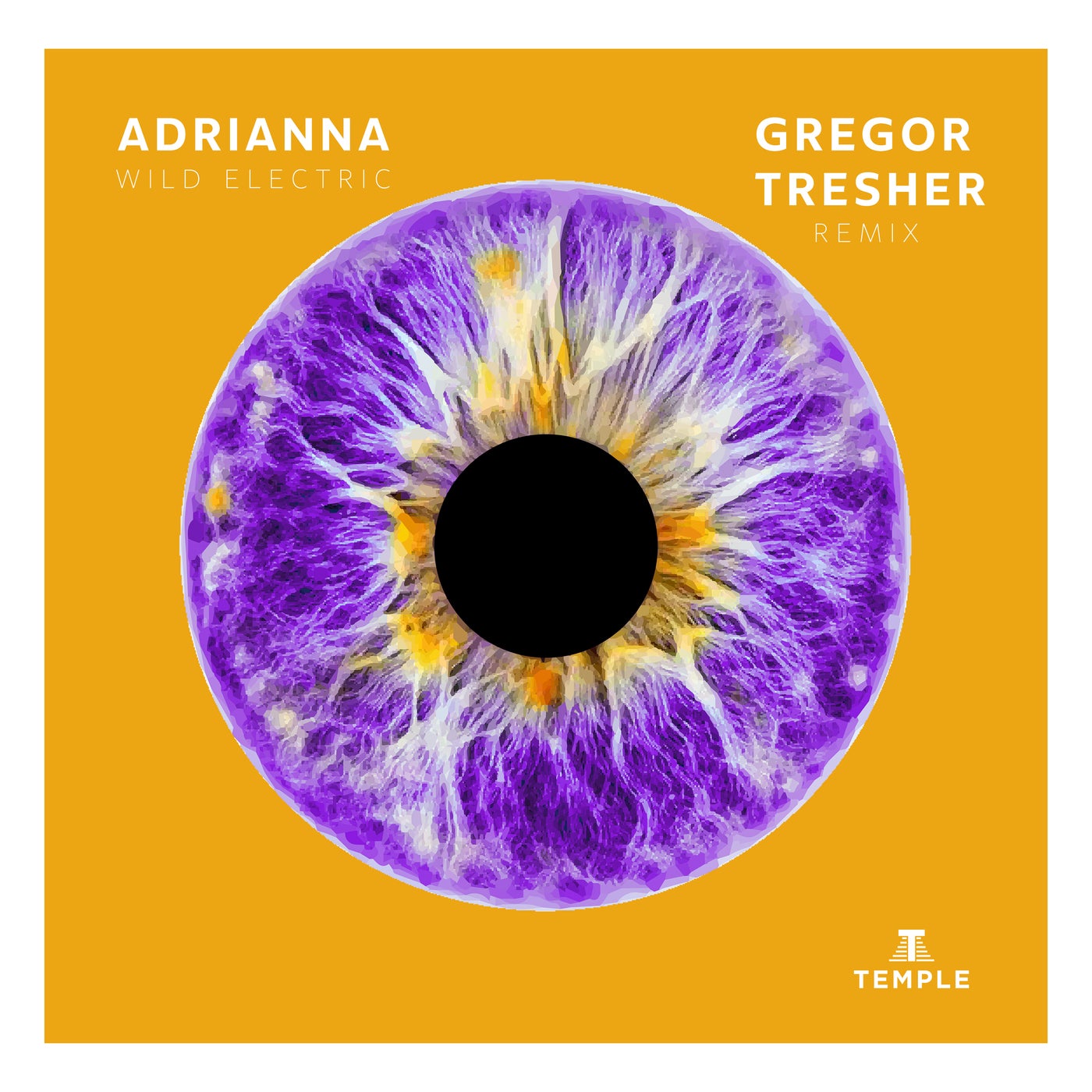 image cover: ADRIANNA - Wild Electric (Gregor Tresher Remix) on Temple House Music