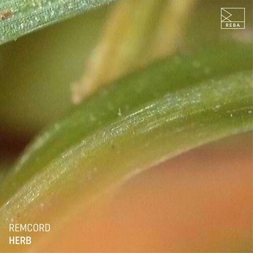 image cover: Remcord - Herb EP on REBA
