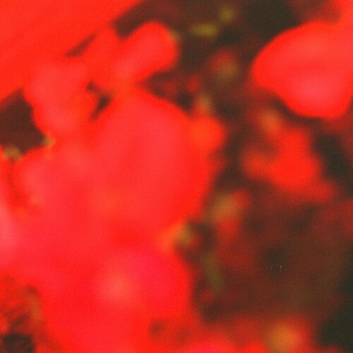 image cover: Ana Rs - In the Warmth of the Red Lights on Semantica Records