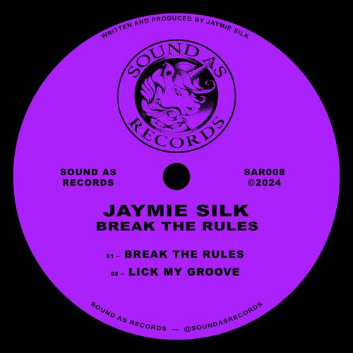 image cover: Jaymie Silk - Break The Rules on Sound As Records